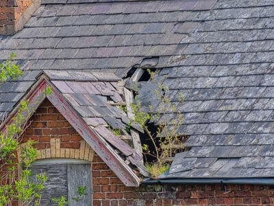 Professional water damage restoration service services in Blaine - Bellingham Mold Removal, Remediation  Inspection